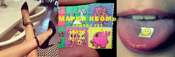 ГАЛЛЮЦИНОГЕННЫЕ ГРИБЫ Новозыбков