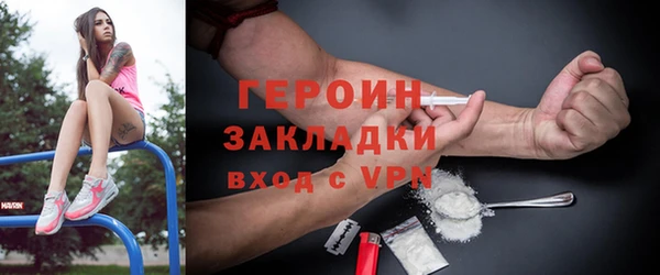 прущие грибы Новодвинск