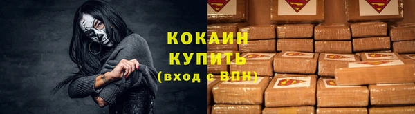 ГАЛЛЮЦИНОГЕННЫЕ ГРИБЫ Новозыбков