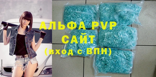 прущие грибы Новодвинск