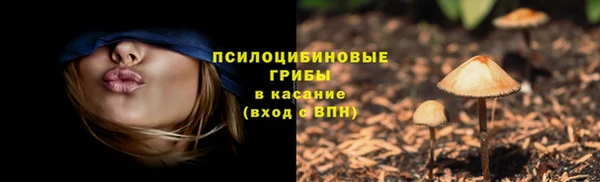 ГАЛЛЮЦИНОГЕННЫЕ ГРИБЫ Новозыбков