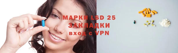 ГАЛЛЮЦИНОГЕННЫЕ ГРИБЫ Новозыбков
