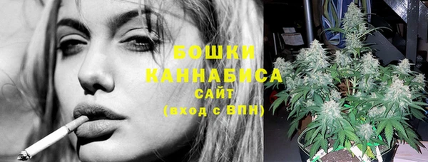 ГАЛЛЮЦИНОГЕННЫЕ ГРИБЫ Новозыбков