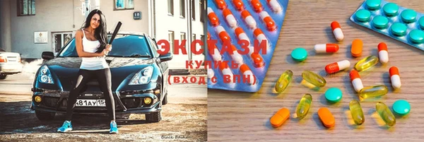 прущие грибы Новодвинск