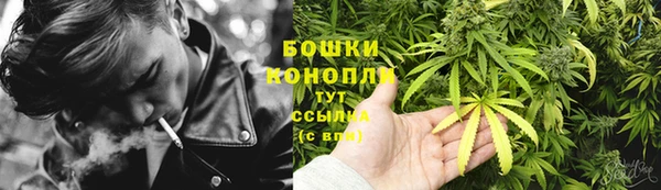 прущий лед Бородино