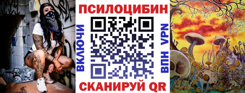 kraken маркетплейс  Покровск  Псилоцибиновые грибы Cubensis 